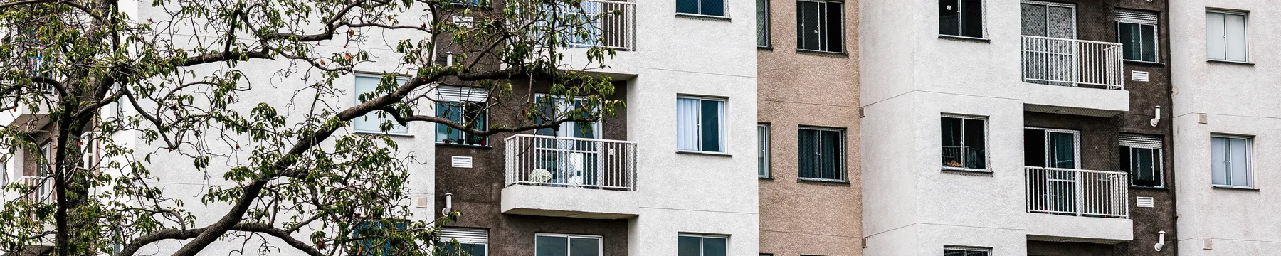 Mehrgeschossiges Wohnhaus mit Balkonen und einem Baum vor der Fassade